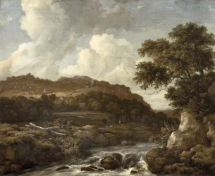 Paysage boisé montagneux avec un torrent
